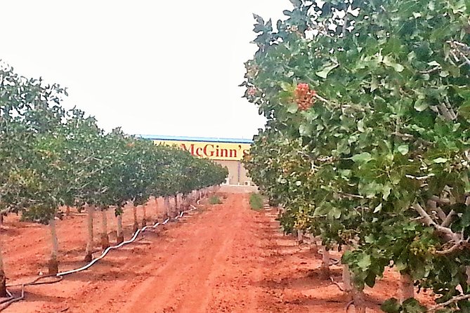 PistachioLand Farm Tour - What the PistachioLand tour is really about