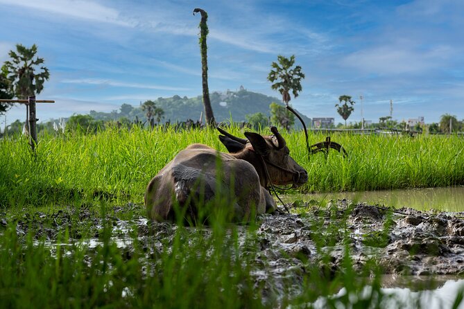Plough to Plate: Be A Rice Farmer in Phetchaburi from Hua Hin - Making rice crackers, then eating lunch