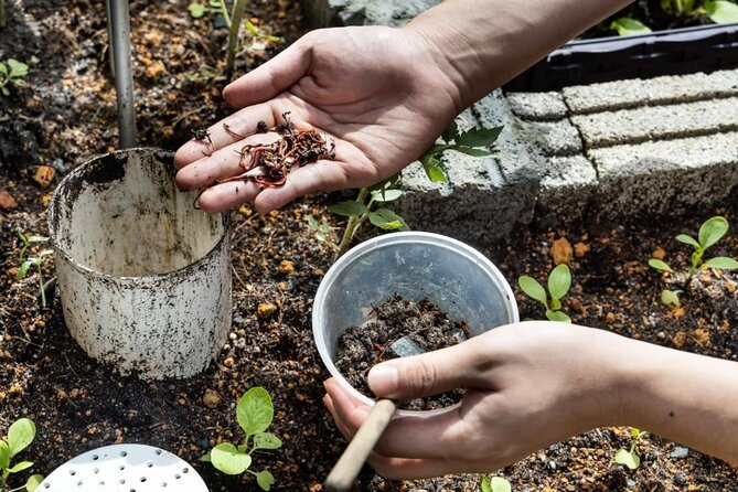 Pokhara: Organic Farm Tour and Cooking Class at Durku - What the $115 price includes