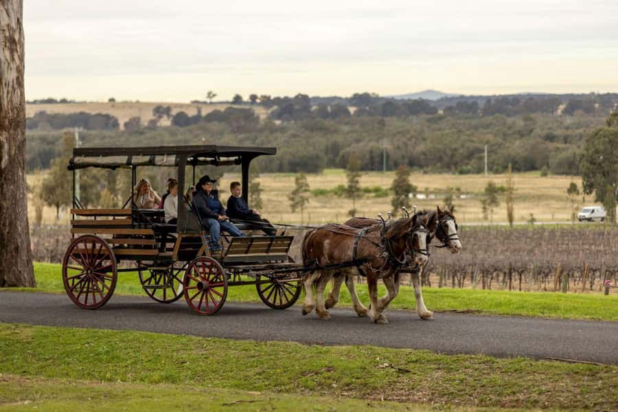 Pokolbin: Harvest the Hunter Horse Drawn Carriage Tour 3hrs - Key points at a glance