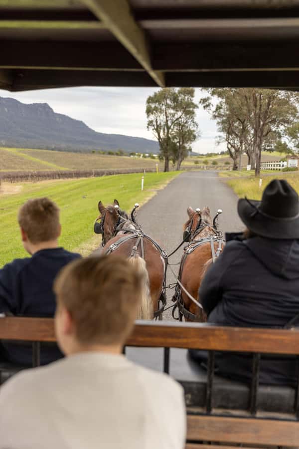 Pokolbin: Harvest the Hunter Horse Drawn Carriage Tour 3hrs - Why this carriage tour feels different in Pokolbin