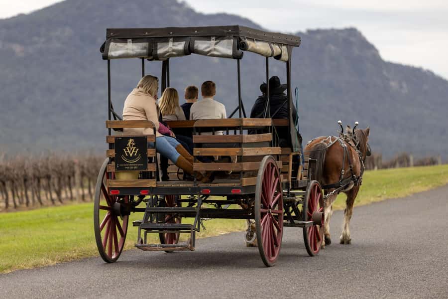 Pokolbin: Harvest the Hunter Horse Drawn Carriage Tour 3hrs - The first winery: time to settle into Hunter Valley wine