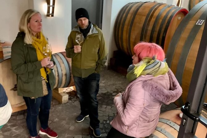 Pompeii Vesuvius Wine Farm Tour - Why this private Naples day works so well