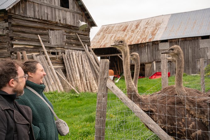 Pontiac Farm Tour - Day Trip From Ottawa & Gatineau - Key points to know before booking