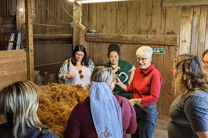 Pontiac Farm Tour - Day Trip From Ottawa & Gatineau - Ferme Ostribee and the ostrich stop