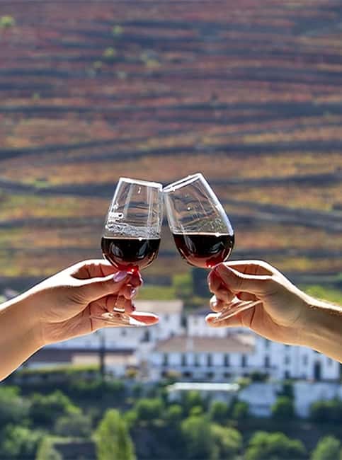 Porto: 3 Wine Regions & Farm Lunch with Views Small-Group - Lunch in Sabrosa with vineyard views