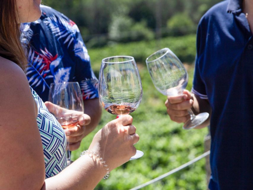 Porto: 3 Wine Regions & Farm Lunch with Views Small-Group - Second and third estates: more personal wine encounters