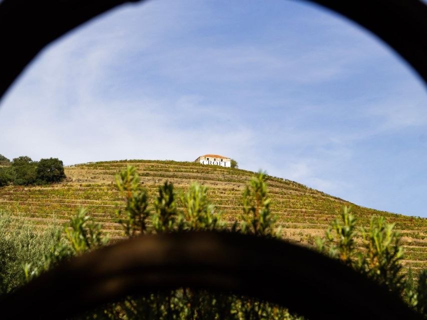 Porto: 3 Wine Regions & Farm Lunch with Views Small-Group - The ride back to Porto