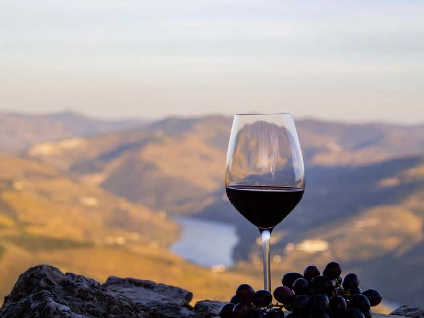 Porto: 3 Wine Regions & Farm Lunch with Views Small-Group - What $118 includes and what it does not