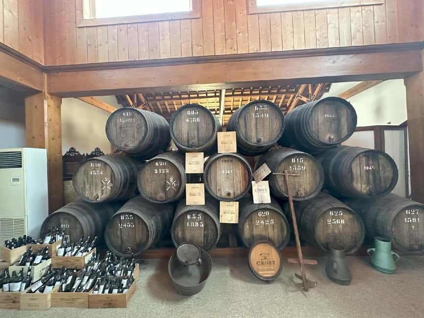 Porto: 3 Wine Regions & Farm Lunch with Views Small-Group - The morning drive and first taste of the Douro