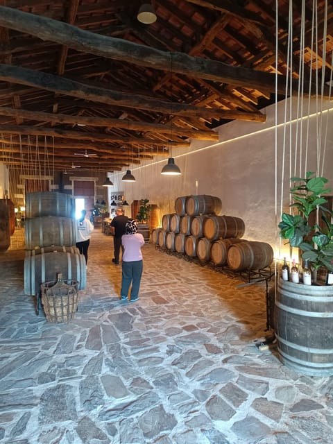 Porto: Douro valley 2 farms with wine tasting and lunch - Key points to know before booking