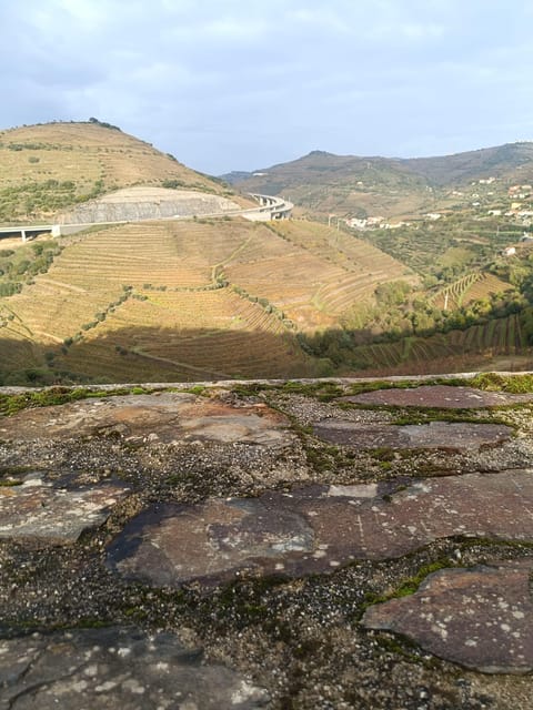 Porto: Douro valley 2 farms with wine tasting and lunch - First farm: two hours of Port wine and local history