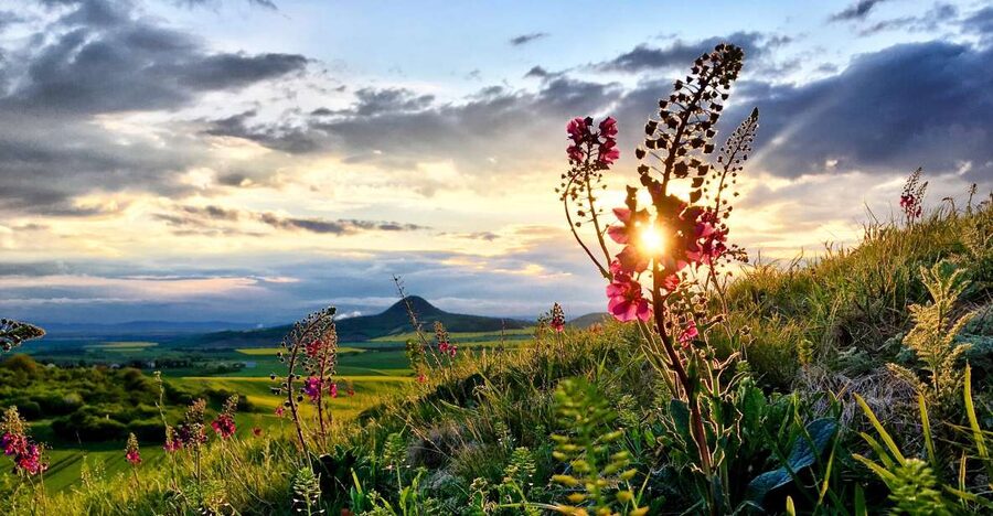 Prague: Bohemian Uplands Garnet Panning&Animal Farm 4WD Tour - Timing, clothing, and practical details