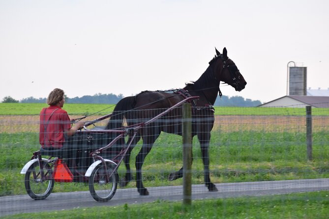 Premium Amish Country Tour including Amish Farm and House - Inside the 1805 farmhouse
