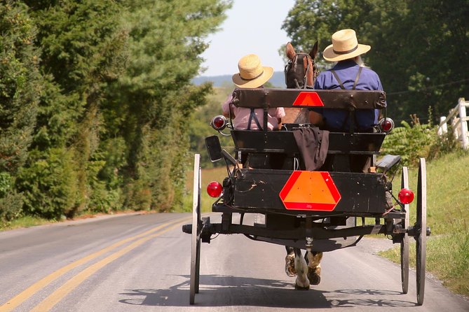 Premium Amish Country Tour including Amish Farm and House - Two farm stops and the chance to shop locally