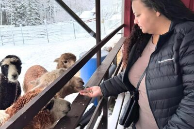 PRIVATE Alpaca Guided Forest Walk + Feeding Helsinki
