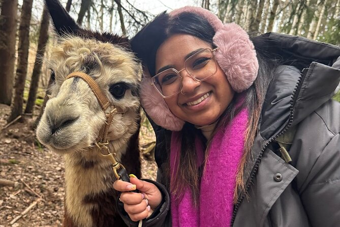 PRIVATE Alpaca Guided Forest Walk + Feeding Helsinki - Who will enjoy this most