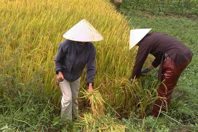 Private Cycling Tour in Rural Hue with Farming Experience - Four hours of farming, fishing, and home cooking