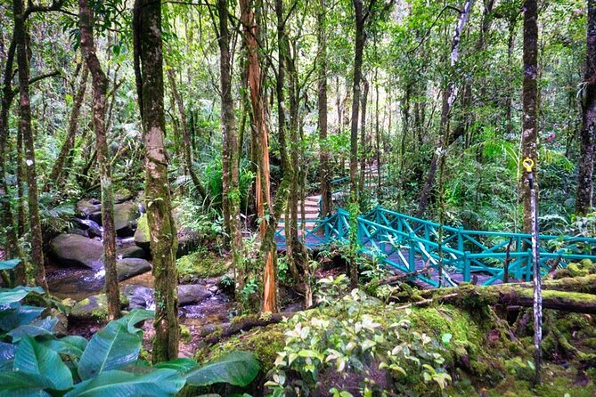 Private Desa Dairy Farm, Kinabalu National Park, Hot Spring & Canopy Walk Tour - Timing, fitness, and what to bring