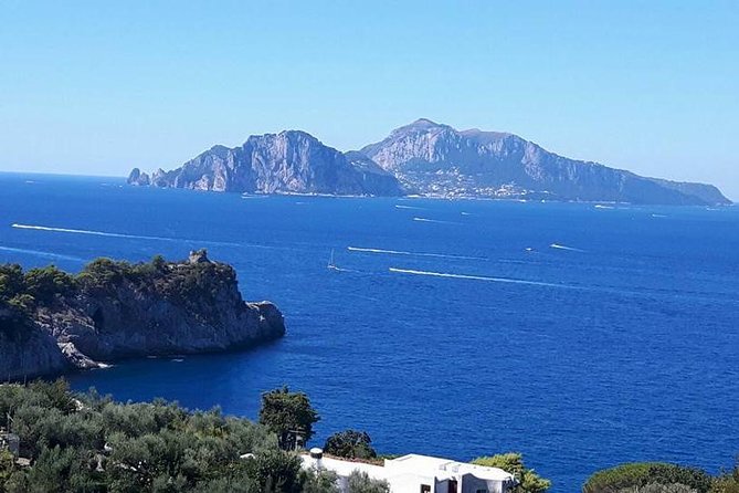 Private Exclusive Tour of Positano & Sorrento + Farmhouse Lunch - The farmhouse lunch near Sorrento