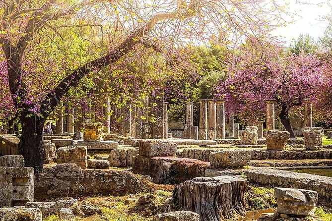 Private Excursion to Ancient Olympia - bee farm & winery - Walking through Ancient Olympia