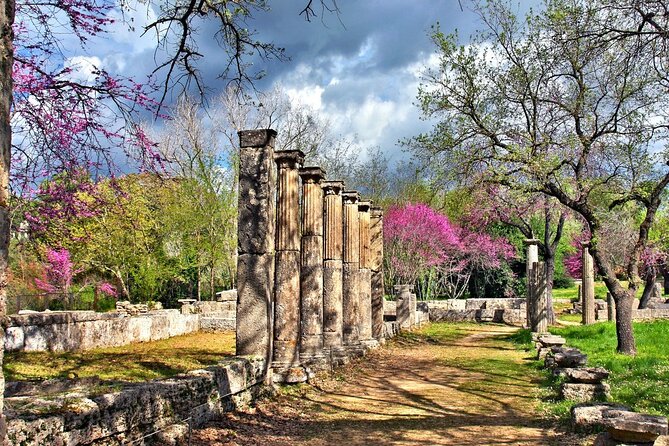 Private Excursion to Ancient Olympia - bee farm & winery - The Archaeological Museum of Olympia