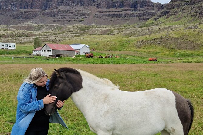 Private Farm Visit & Silver Circle Day Tour in West Iceland - What the $1,750 group price really buys