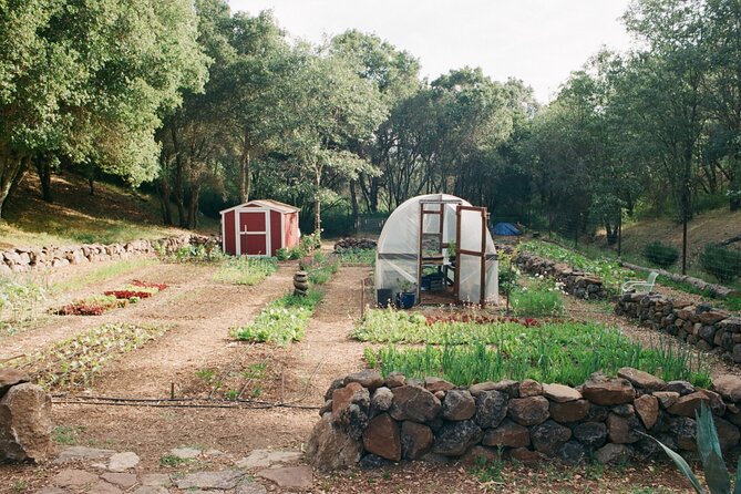 Private Farm Workshop in Napa Valley - A Different Way to Spend a Napa Morning
