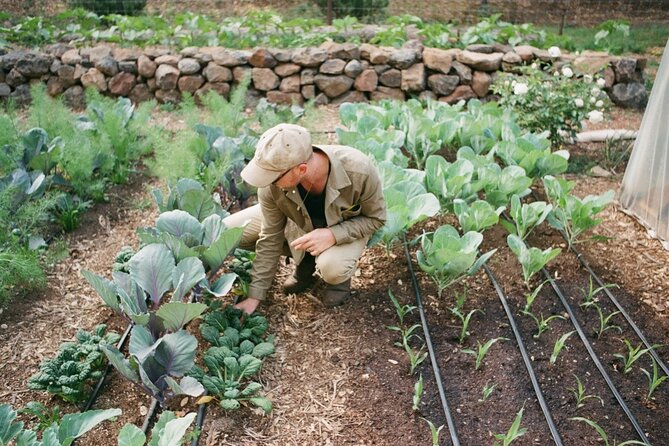 Private Farm Workshop in Napa Valley - What Makes the Experience Worth the Time