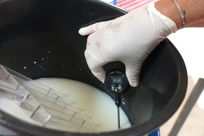 Private Farmhouse Cheesemaking Workshop - Cheese tasting: Gouda, Edam, and more