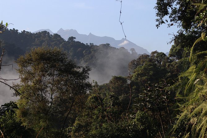 Private Full-Day Mindo Cloud Forest,Butterfly Farm, Chocolate Tour bird watching - San Tadeo Birding and the hand-feeding experience