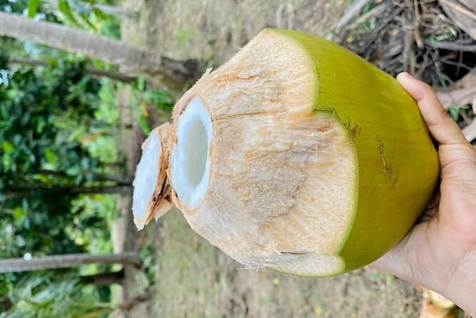Private Full Day Trip to Stone Town, Spice Farms and Jozani Forest - Lunch, timing, and what to bring
