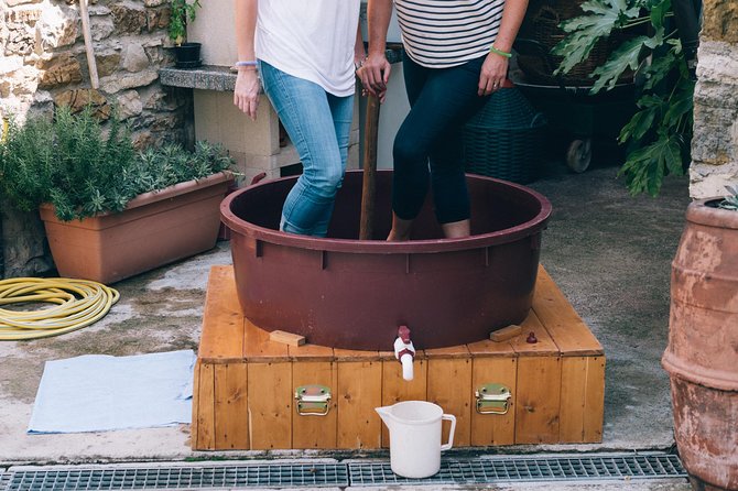 Private Grape stomping at Chianti Farmhouse - Lunch is a major part of the value
