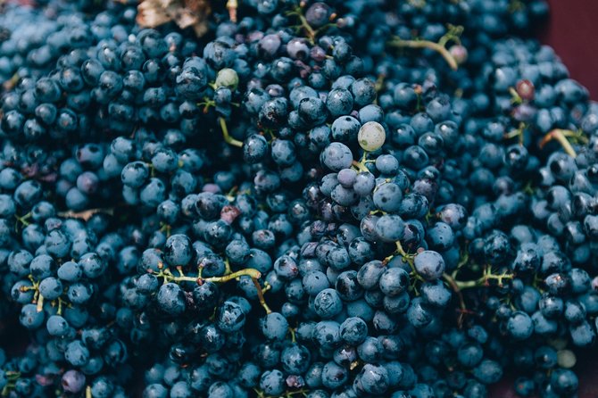 Private Grape stomping at Chianti Farmhouse - Who will enjoy this experience most