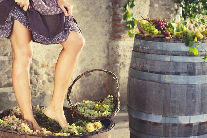 Private Grape stomping at Chianti Farmhouse - The farm tour and cellar dating to 1825