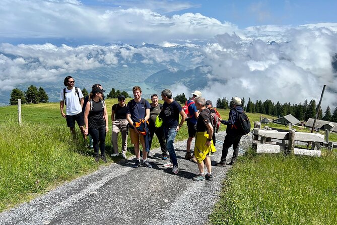 Private Guided Hike on Mt. Rigi with Farm Visit and BBQ - Meeting the cows and visiting the farm