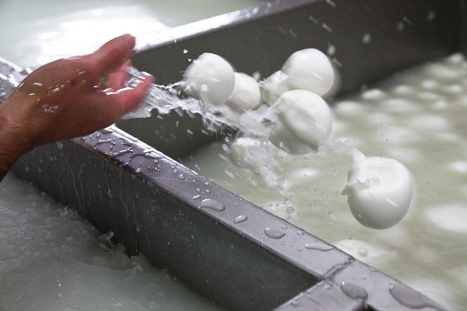 Private guided tour of Paestum and Buffalo Mozzarella farm lunch - Is the $414.02 price good value?