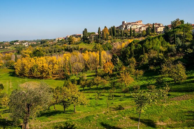 Private Guided Tour to Pisa and local Wine Farm from Livorno port - Should you book it?