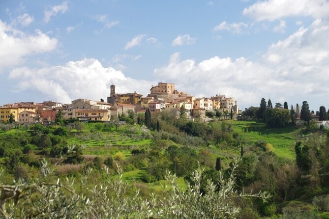 Private Guided Tour to Pisa and local Wine Farm from Livorno port - Lari and Castello dei Vicari