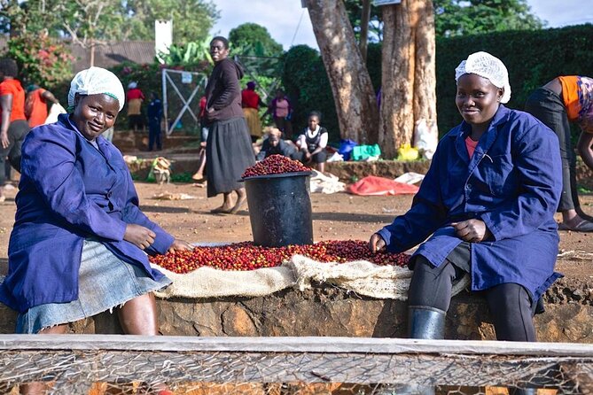Private Half-Day Tour in Fairview Coffee Farm from Nairobi - Getting Oriented at the Visitor Area