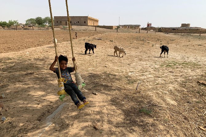 Private Jaisalmer Rural Farm Tour - Chai, Lassi, and a Quiet Place to Sit