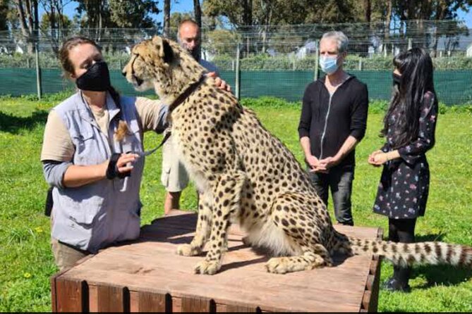 Private Le Cape Animal Farms Full Day Tour - Is $182.31 a fair price?