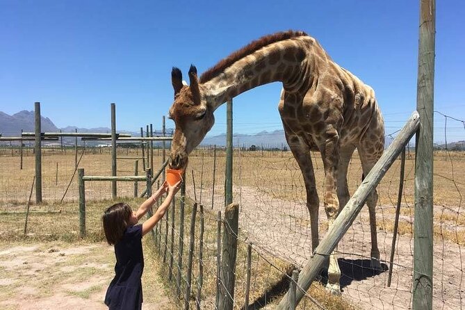 Private Le Cape Animal Farms Full Day Tour - Who will enjoy this animal tour most?