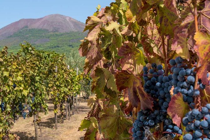 Private Mt Vesuvius and Pompeii with Lunch and Wine Farm Experience - Key points at a glance