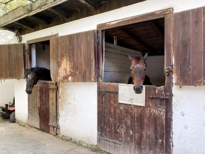 Private Novi Sad, Sremski Karlovci & Farmer's House - Is $187 per person a fair price?