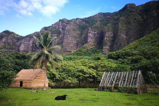 Private One way Transfer Waikiki Hotel and Kualoa Ranch - Key points at a glance