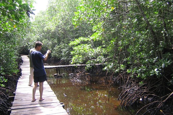Private Stone Town & Spice Farm Tour - Jozani Forest: your best chance to see Zanzibar’s red colobus