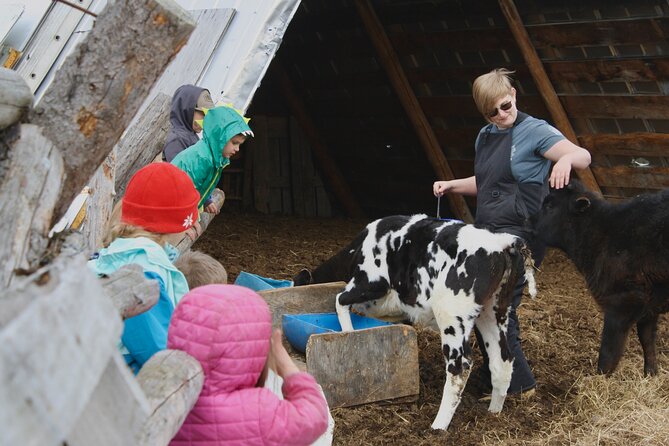 Private Tour at Historic Alaska Dairy Farm - What happens during the farm visit