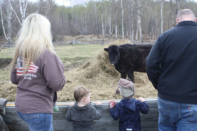 Private Tour at Historic Alaska Dairy Farm - The animals make this more than a dairy lesson