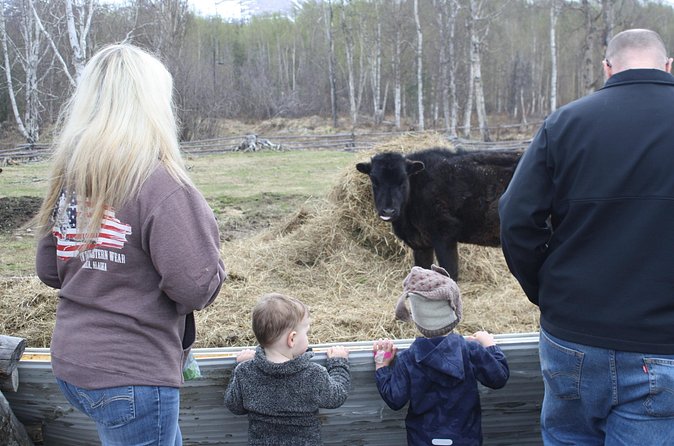 Private Tour at Historic Alaska Dairy Farm - Best timing: choose a morning for calves